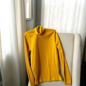 J Crew Ribbed Turtle Neck